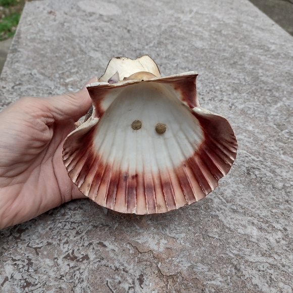 Victorian shell puzzle art piece porcelain doll sea shell whimsy OOAK - Picture 5 of 12